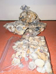 Bags Of Various Sea Shells