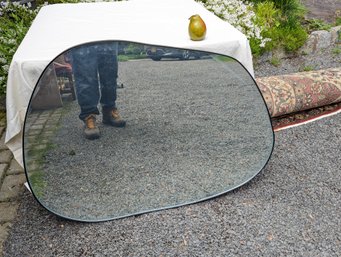 Modern Organic Shaped Mirror
