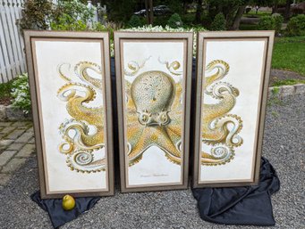 Large Framed Three Panel Print Of An Octopus