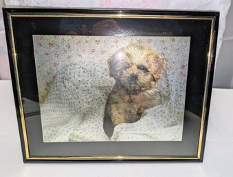 Vintage Framed Puppy Foil Print