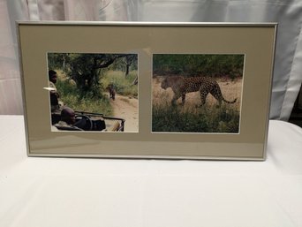 Framed African Safari Leopard Photograph