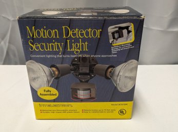 Intelectron Motion Detector Security Light