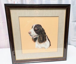 Signed Margery R. Kinley Framed English Springer Spaniel Portrait