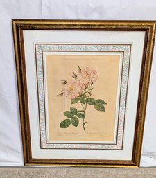 Vintage Botanical Framed Print