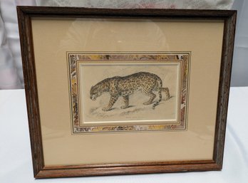 Vintage Framed Felis Onca, Jaguar, Native Of America Print