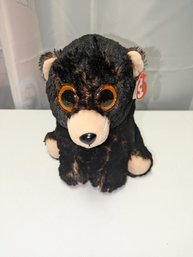 Vintage Ty Classics Collection 'Kodi' The Black Bear (8.5' Inch)