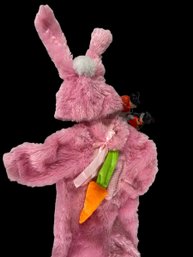 Brandi Halloween Bunny Costume With 2 Halloween Decorations Infant 12 Mos.