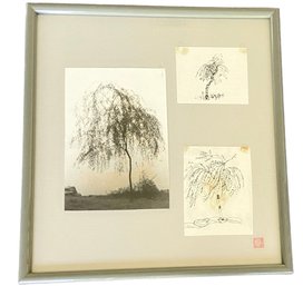 1983 'China Sketchbook - Trees In Hang Zou' Photography And Ink