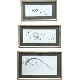 Three Vintage Framed Signed Pencil Drawing Prints