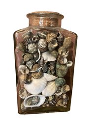 Three-sided Glass Jar With Cork Stopper FULL Of Shells