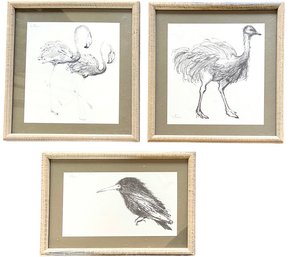 Three Signed Vintage Framed Pencil Drawings Prints Of Birds