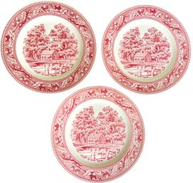 Three Memory Lane Royal Ironstone Plates Circa 1965