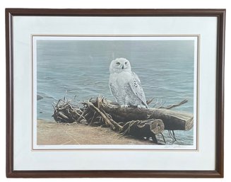 Signed Lithograph 'Snowy Owl On Driftwood' By Listed Artist Robert Bateman