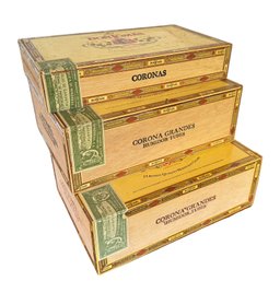 Three Vintage Don Thomas Wooden Cigar Boxes With Tubes Plus