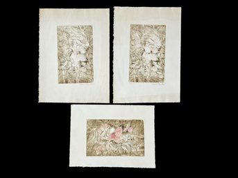 Unsigned Eugenia Joyce Fayen (Amer. 20th Cent.) Trio Of Floral Prints