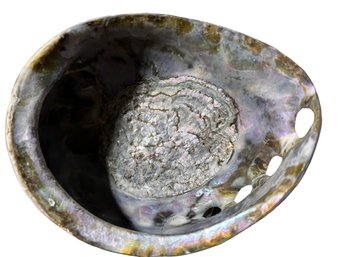 Large Abalone Shell With Floral Motif Metal Stand