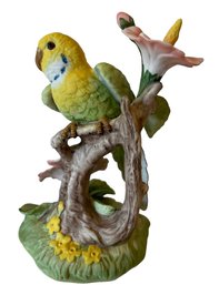 Gorham Gallery Birds Parakeet