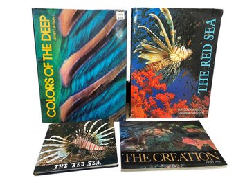 Four Colorful Undersea  And Creation Photo Books