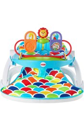 Fisher Price Portable Baby Activity Chair