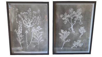 Home Decor Botanical Prin  Wildflowers Framed Wall Art 2-piece Set