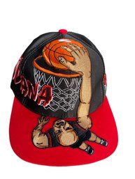 Vintage University Of Indiana Top Of The World Slam Dunk Hat Taiwan