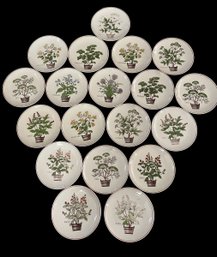 Large Vintage Lot Of 19 Assorted Salad Plates 'HERBS' By Nelson Lebo