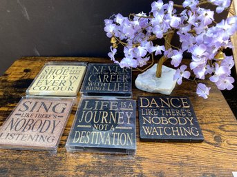 New Inspirational Coasters & Bonsai