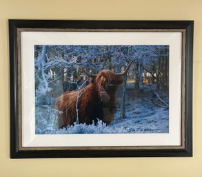 Professionally Framed & Matted Photograph