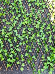 Adjustible Wood Lattice With Silk Ivy For Year Round Coverage