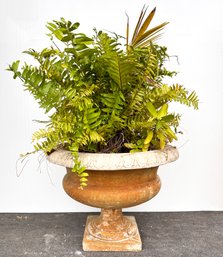 A Large Neoclassical Cast Stone Urn And Live Ferns