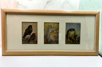 Trio Of Birds - Vintage Bird Prints