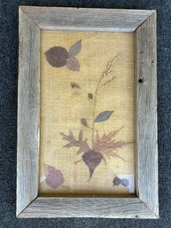 Dried Pressed Framed Flowers In Rustic Farmhouse Frame 16' X 10'