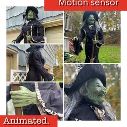 Halloween Animated Witch 60' Tall