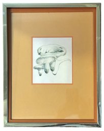 Vintage Unsigned Print 'Mushrooms'