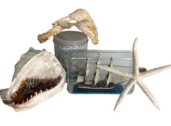 Vintage Seaside / Oceanic Adventure Grouping