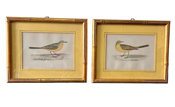 Two Original Old Prints Of Wagtail Birds In Faux Bamboo Style Frame