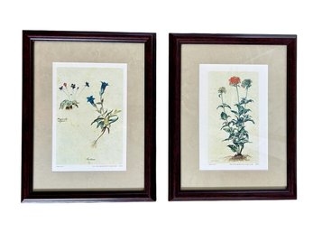 Pair Of Floral Prints