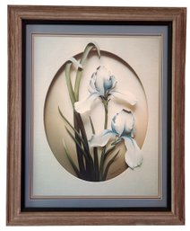 Vintage Print Of Blue And White Irises Signed By Hessel 1981