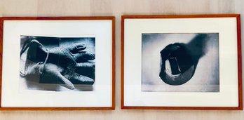 Photographic Pair Of Prints