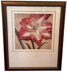 Blooming Wonder - Framed Print By Judy Shelby (b)