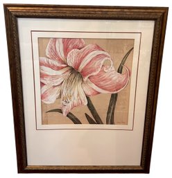 Judy Shelby Framed Print Of Blooming Flower (a)