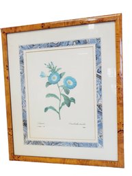 Framed Blue Morning Glory Flower Bookplate Botanical Art Print By Pierre Joseph Redout