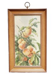 Vintage MCM Framed Watercolor Peach Tree Branch Print