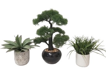 Trio Of Artificial Plants: Bonzai Tree, Sweet Grass & Agave