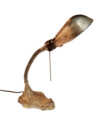 Antique 1924 Cast Iron Goose Neck Desk Lamp By Ovalite Co. NY