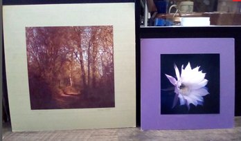 Signed Matted Photos Of Vancouver, WA Wildlife, 1978 & A Barrel Cactus Flower, Phoenix, AZ, 1979    WA