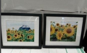 Two Beautiful Framed Prints Of Sunflowers With Lovely Modern Wood Frames.    WA