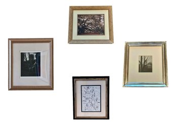 4 Assorted Framed Fine Art  Collection