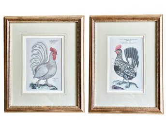 Pair Of White Rooster Prints - Nicely Framed