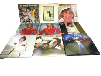 Collection Of 9 LP Albums - Shaun And David Cassidy, Andy Gibbs And More (B)